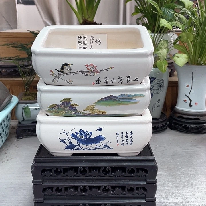 陶瓷花盆抢购福利活动