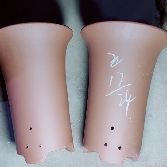 红陶紫砂紫砂小时