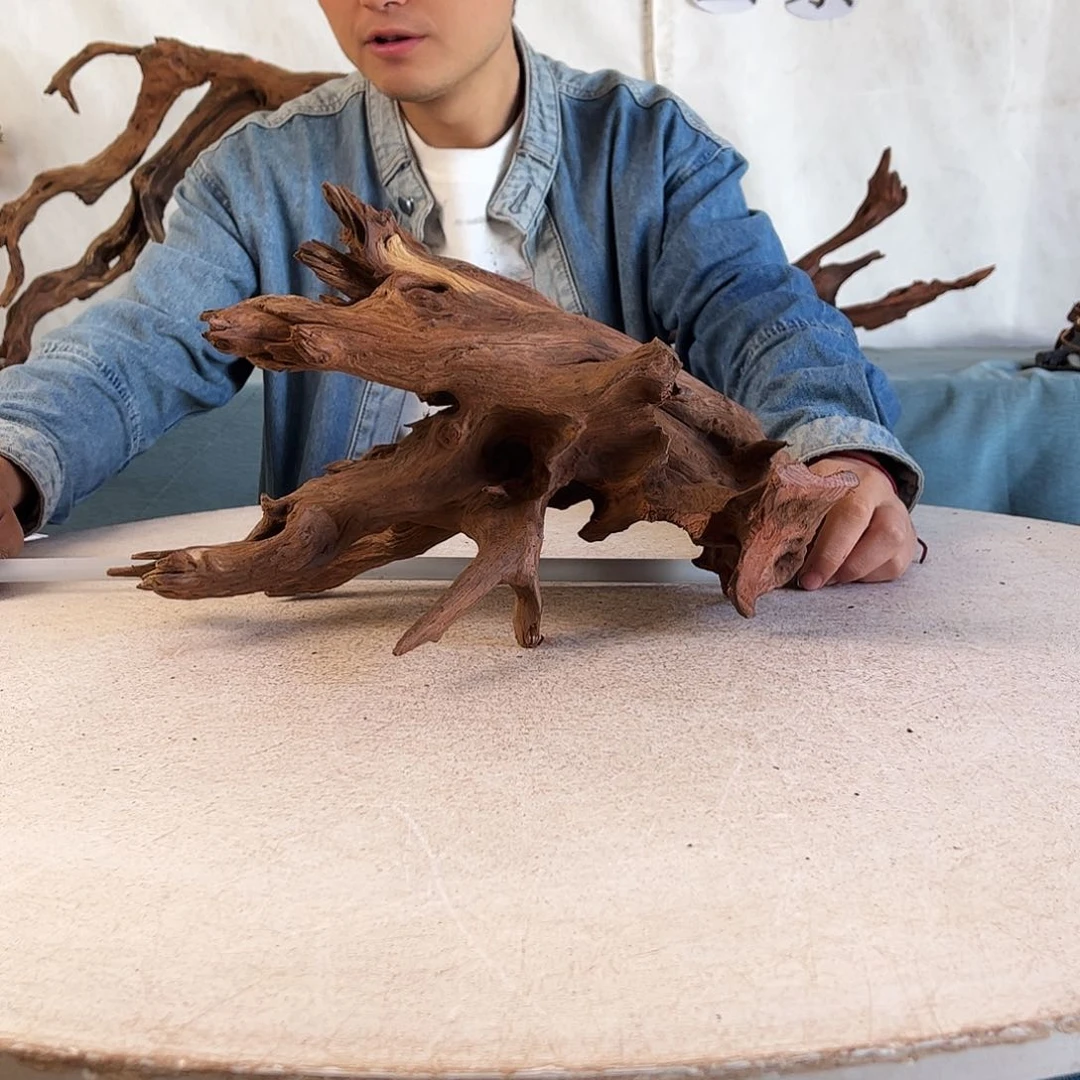 38.24.20 沉木造景爬宠造景