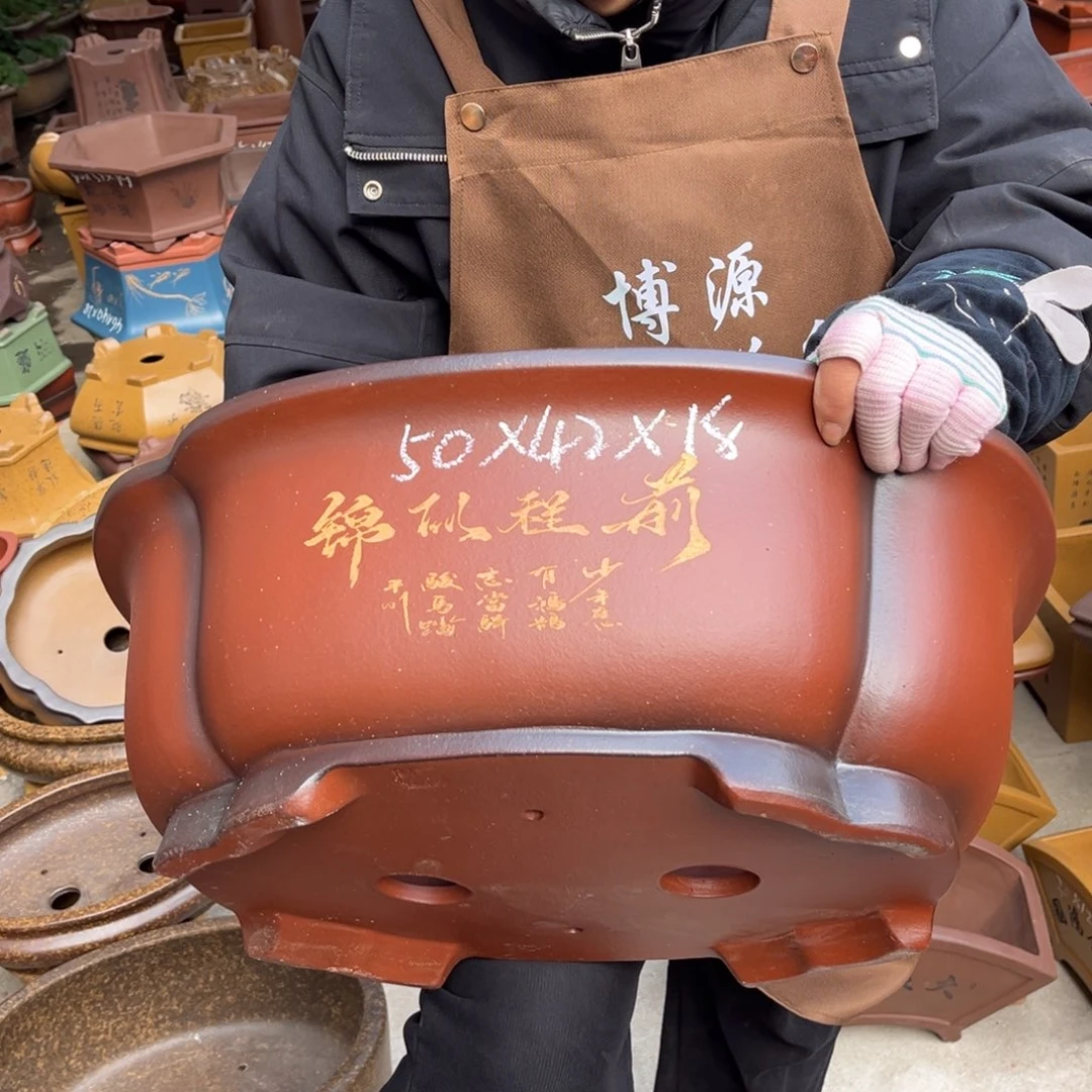 花盆紫砂盆景艺术