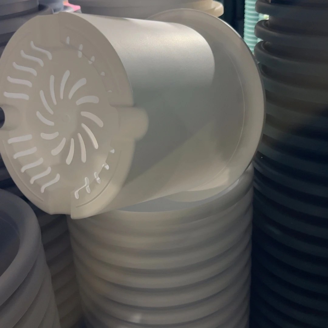 四季6号5个白色的