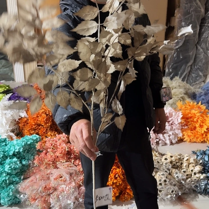 秋色大叶子25支装