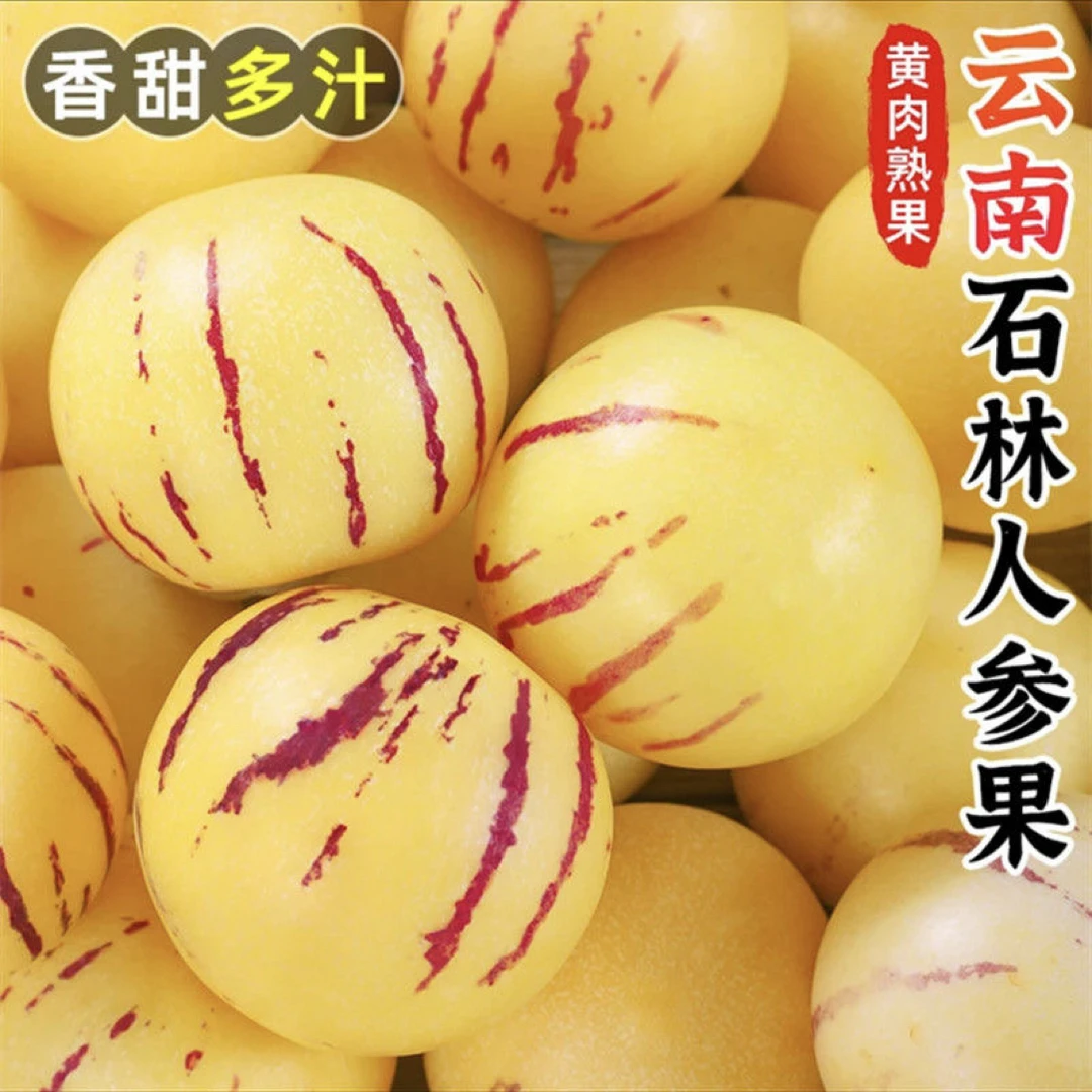 正宗云南石林果树上熟黄肉圆果新鲜清甜多汁应季水果包邮