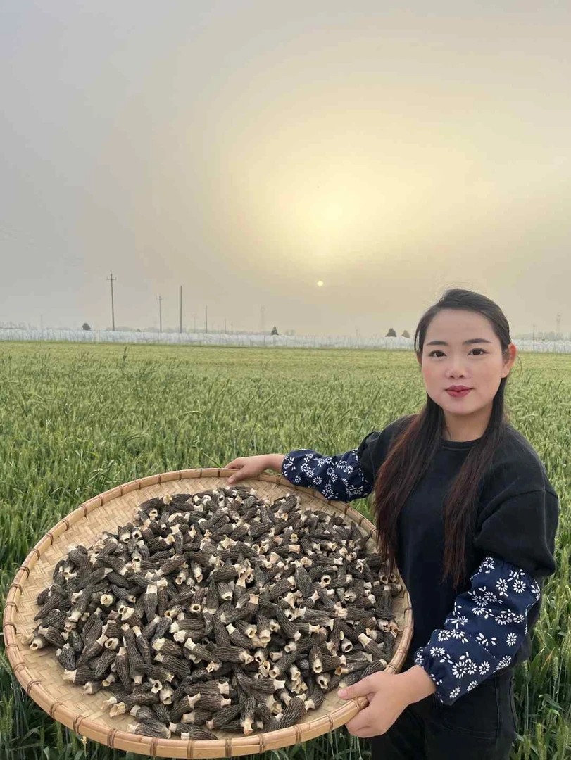 【葛鲜菇】头茬羊肚菌（4-7公分）营养煲汤干货菌菇