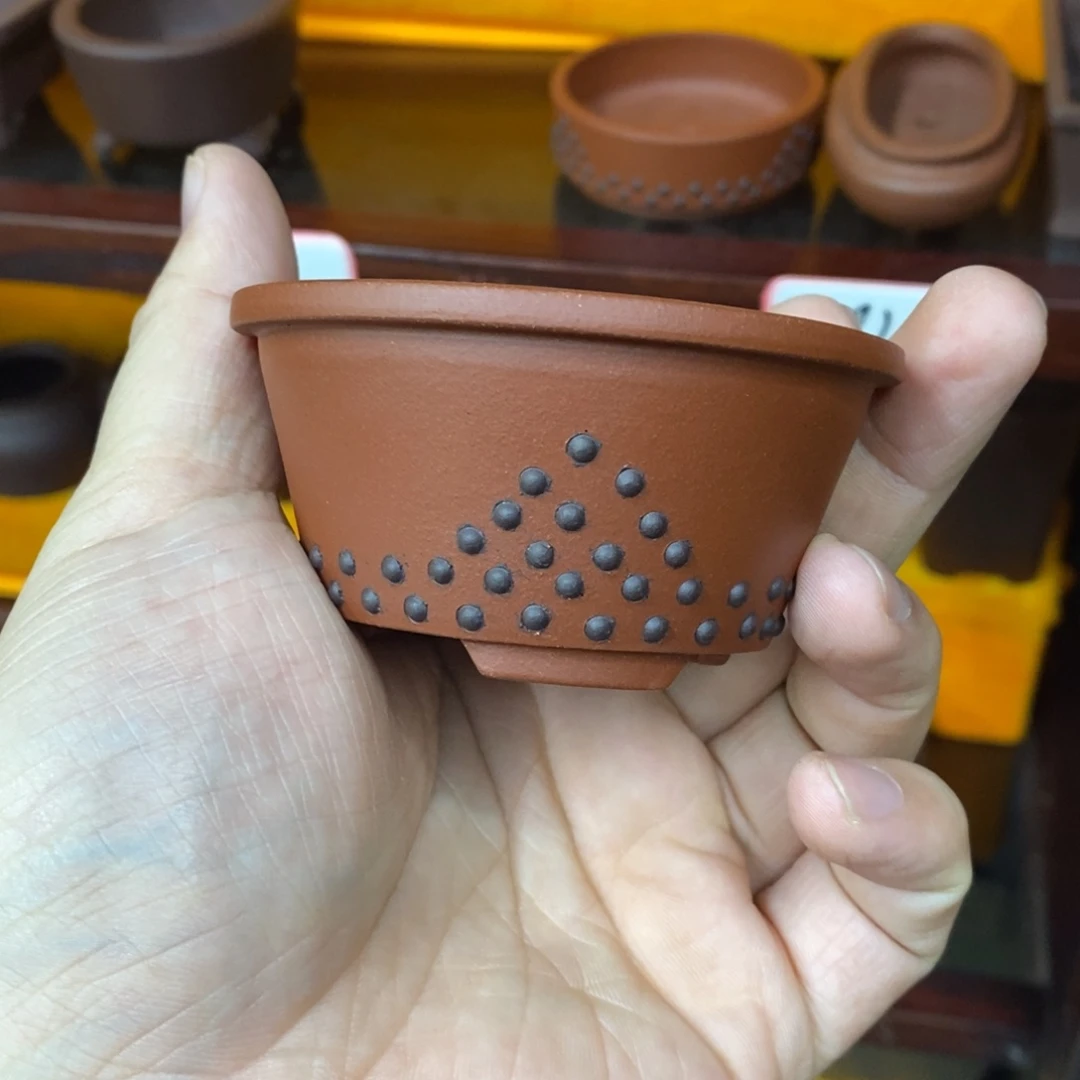 M***程花盆紫砂紫砂文化