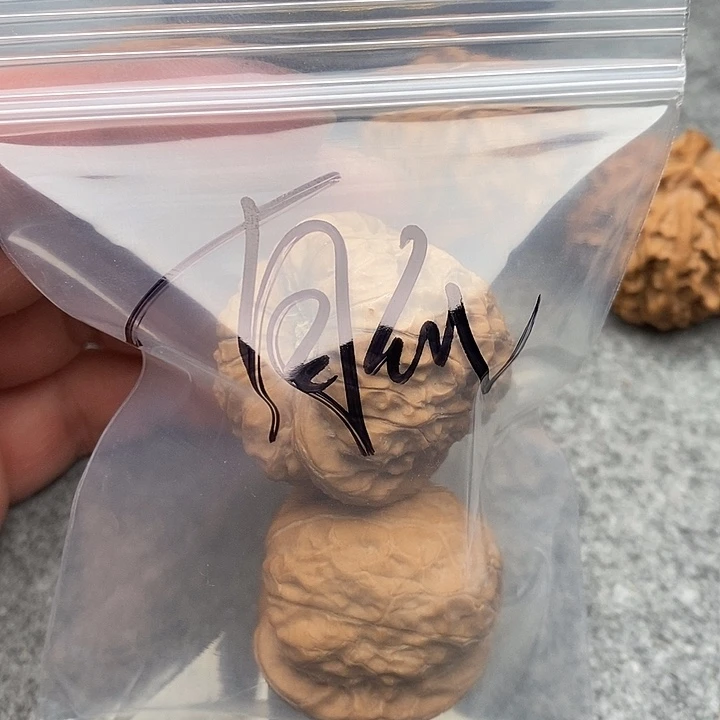 文玩核桃把件南瓜