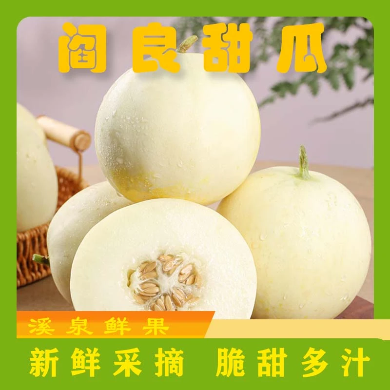阎良甜瓜应季新鲜水果香甜多汁现摘直发包邮带箱5斤
