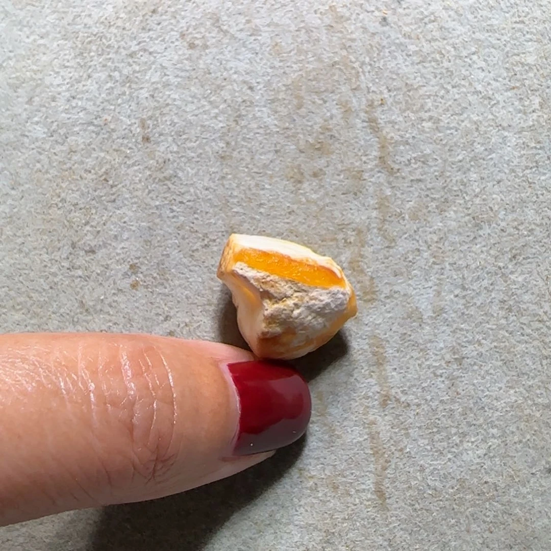 未镶嵌琥珀裸石宛*专拍