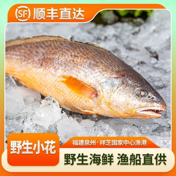福建祥芝 野生海捕 春子鱼/小花/三牙（顺丰直达）
