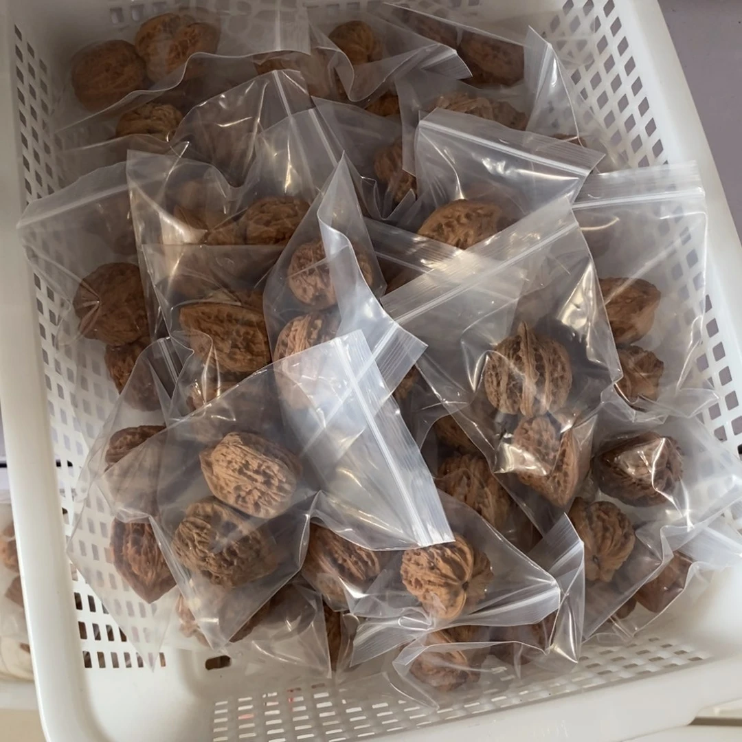 文玩核桃吊坠赤龙