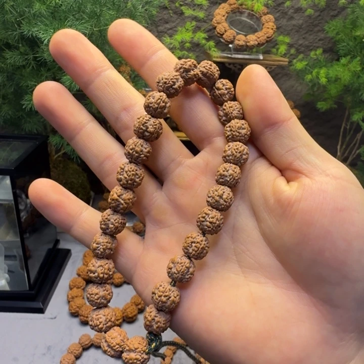 金刚菩提手串老树籽花王小金刚