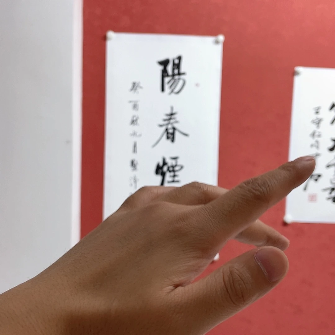 书法阳春眼睛直播大漏