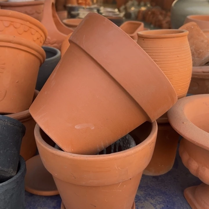 红陶20×17 拍一发二