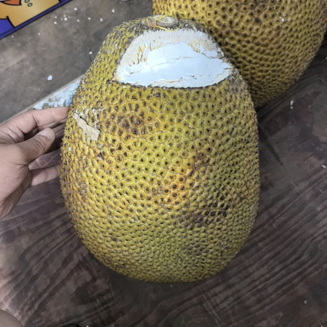 越南红肉印尼红菠萝蜜菠萝蜜整果15-30斤越南