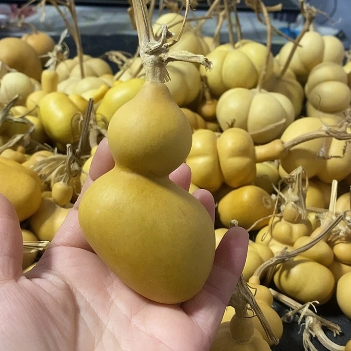 葫芦的颜色很好看