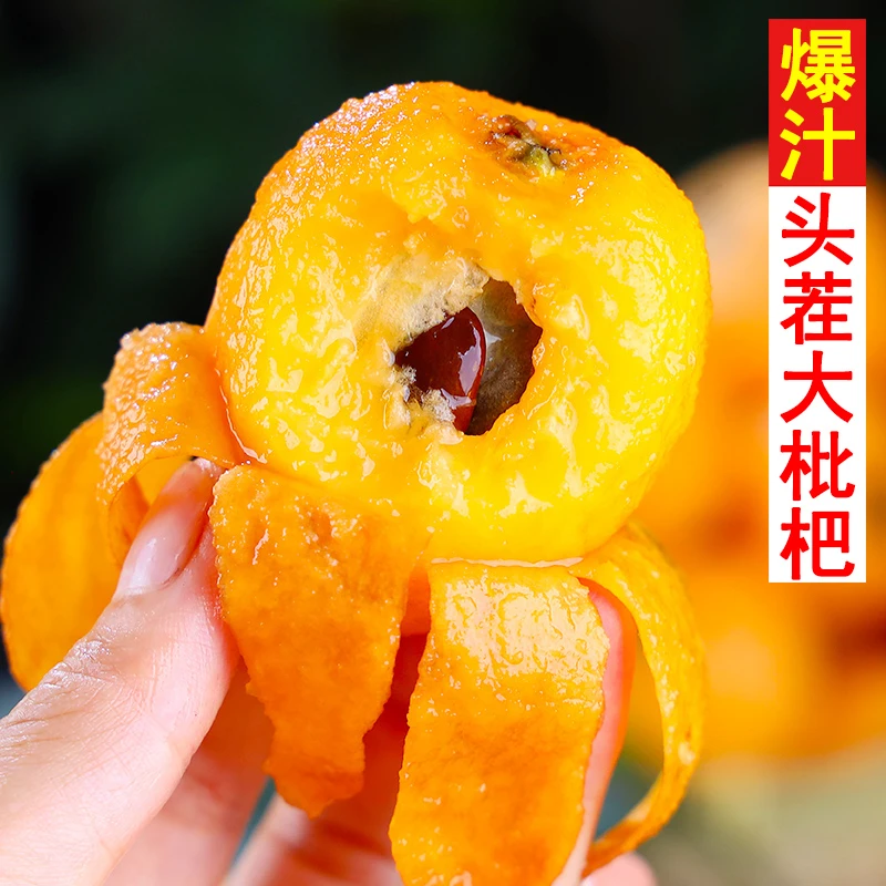 新鲜枇杷鲜果当季水果大五星枇杷整箱现摘特级琵琶果四川米易枇杷