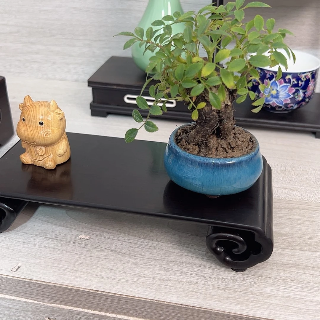 东非黑黄檀（紫光檀）