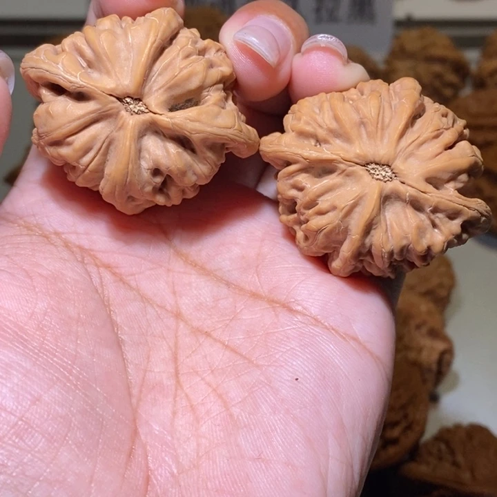 默***默核桃手串/手链九龙