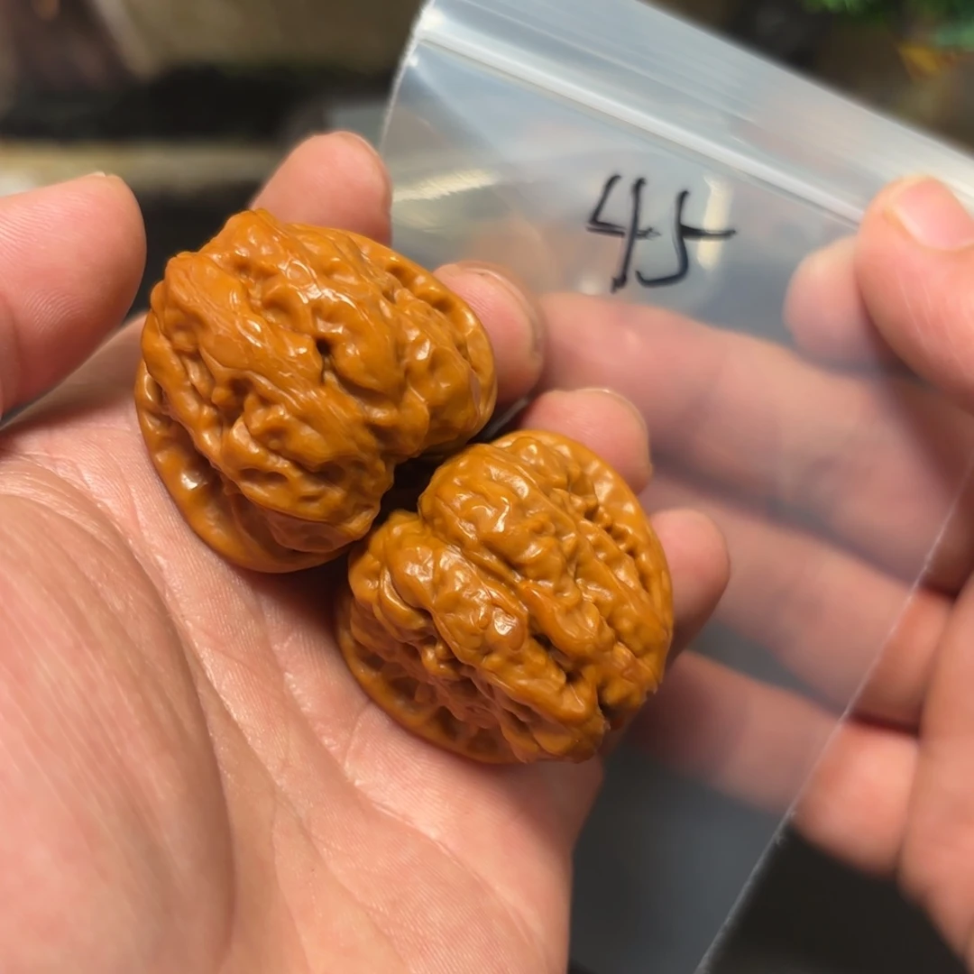 核桃其他蛤蟆头的