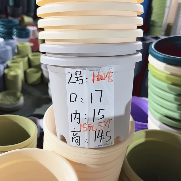 四季2#米黄6个无托