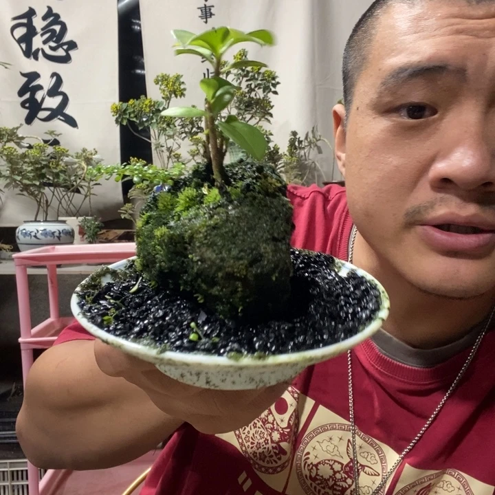 无花朵退款拉黑拉黑126