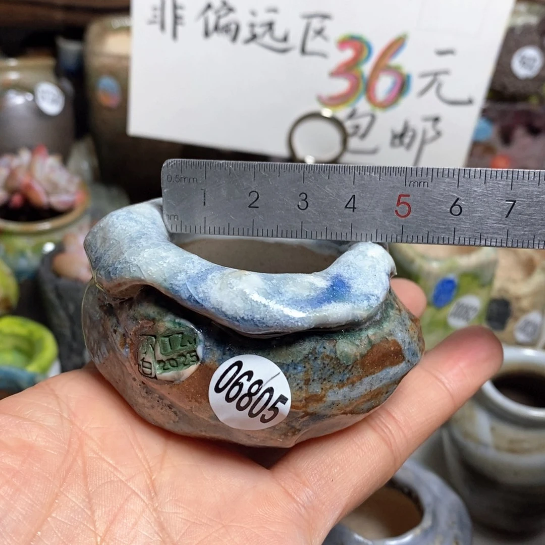 花盆拍3送一个小礼物