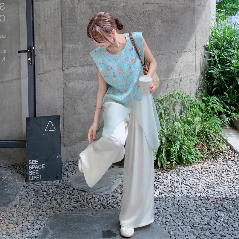 蓝色印花网纱新中式国风套装2025新款女夏爆款高级感不撞款两件套