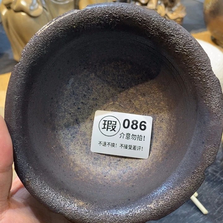 茶盏啦啦啦啦啦啦啦啦啦啦086