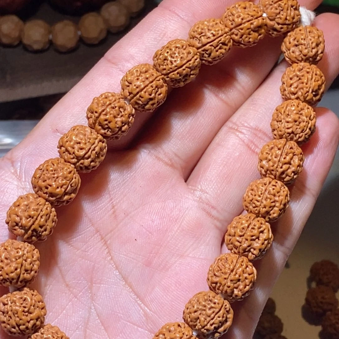 金刚菩提手串天硕盘龙12mm