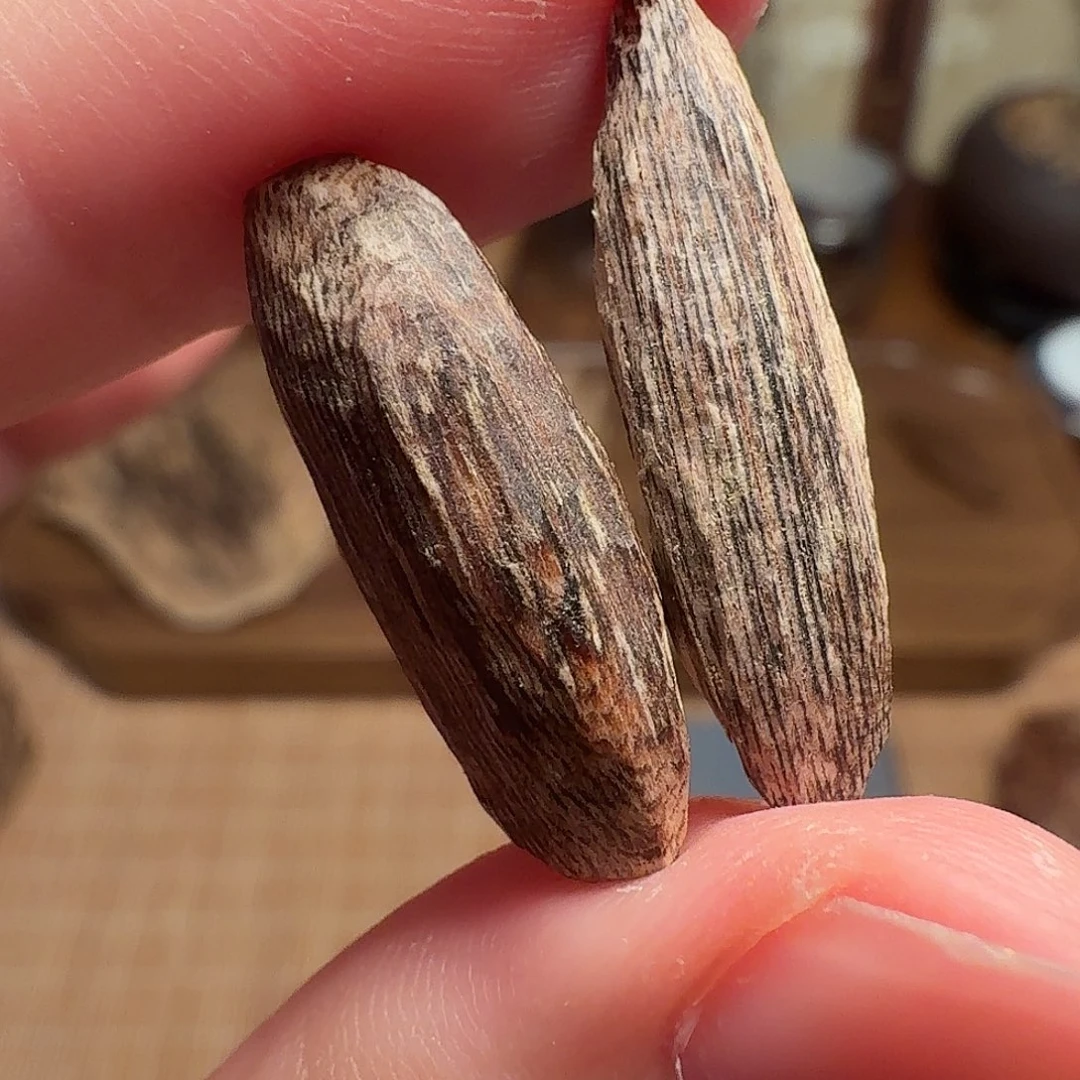 沉香香港大屿山棋韵瓜子