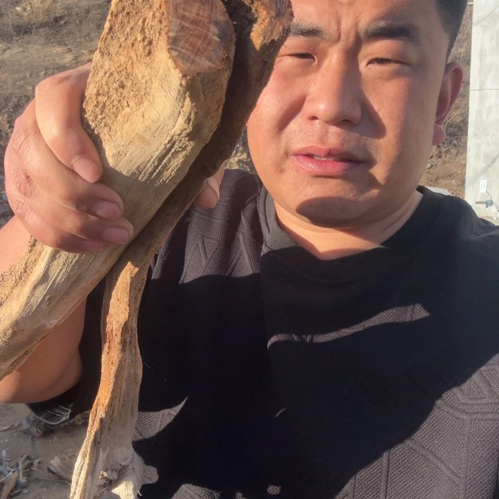 指***忆有机玻璃太行崖柏