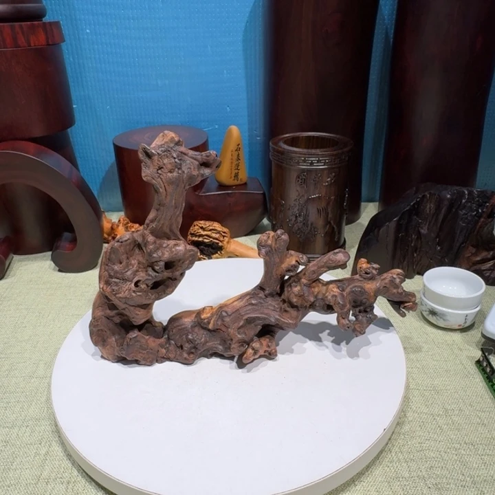 髤***者大果紫檀（缅甸花梨）