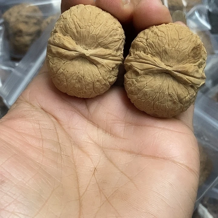 把件文玩核桃云南铁核桃基地4