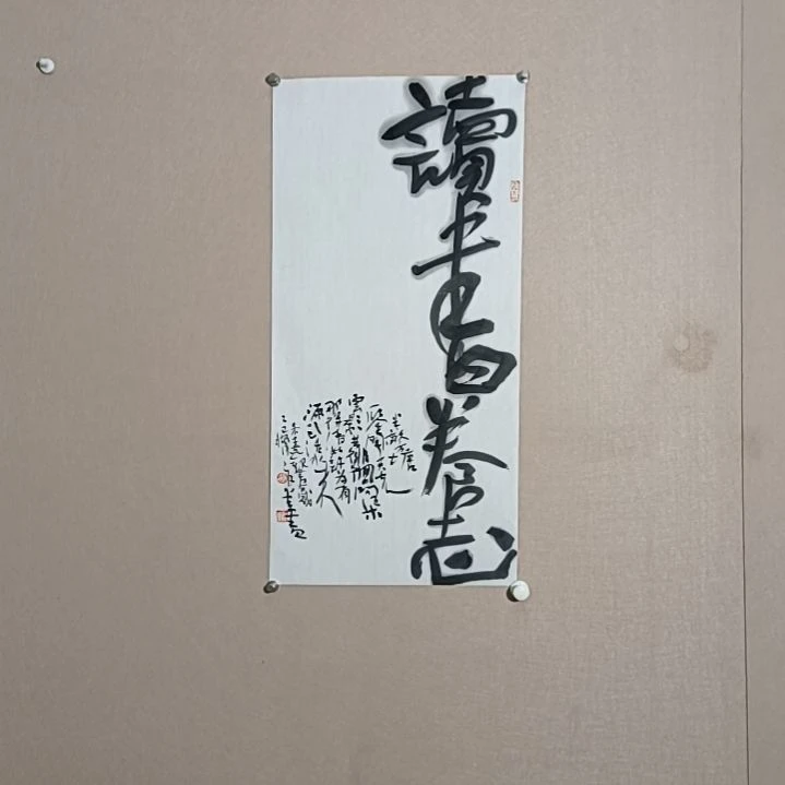 书法读书养志是的是的