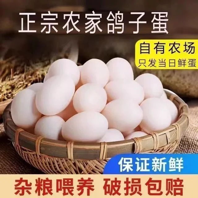 新鲜鸽子蛋30枚天然鸽子蛋600克白鸽蛋沂蒙山农家五谷杂粮喂养