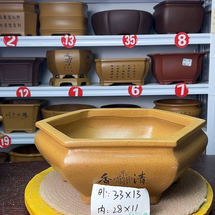 花盆紫砂蛇年大吉