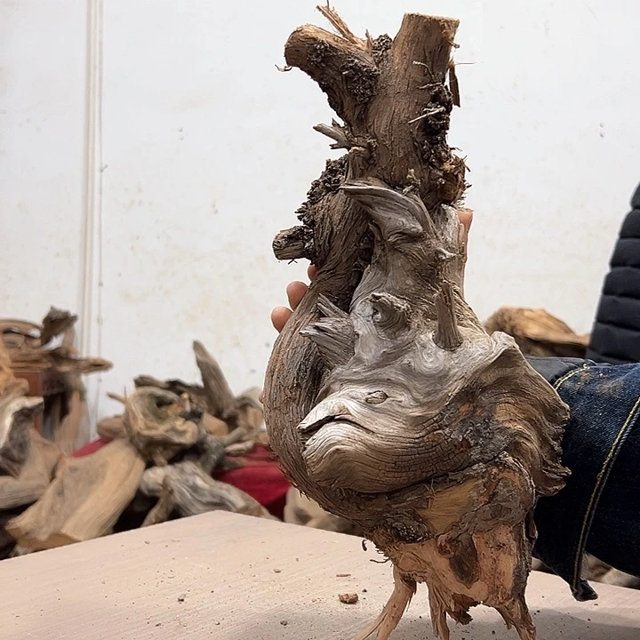 柏木鸿*我们都是好孩子呀我也是想