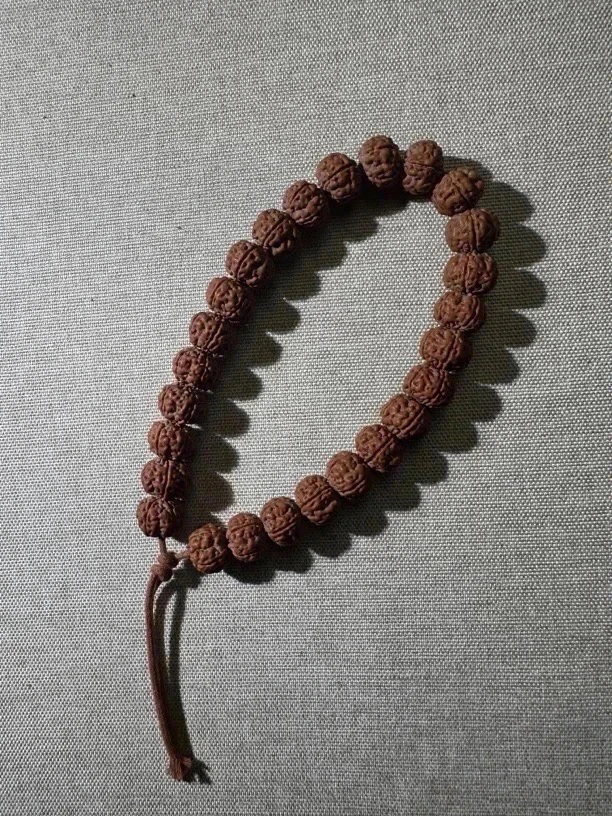 A2123【精选·老树王手串】毕业小金刚菩提