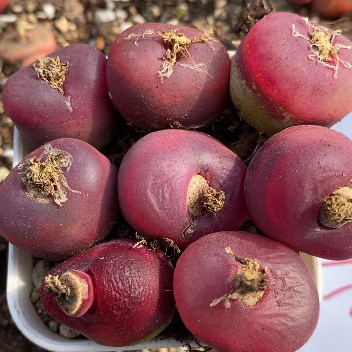 451一组一组一组