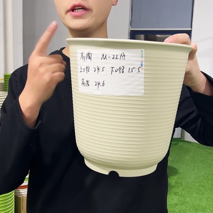 正品高陶口24高24白色5只无托