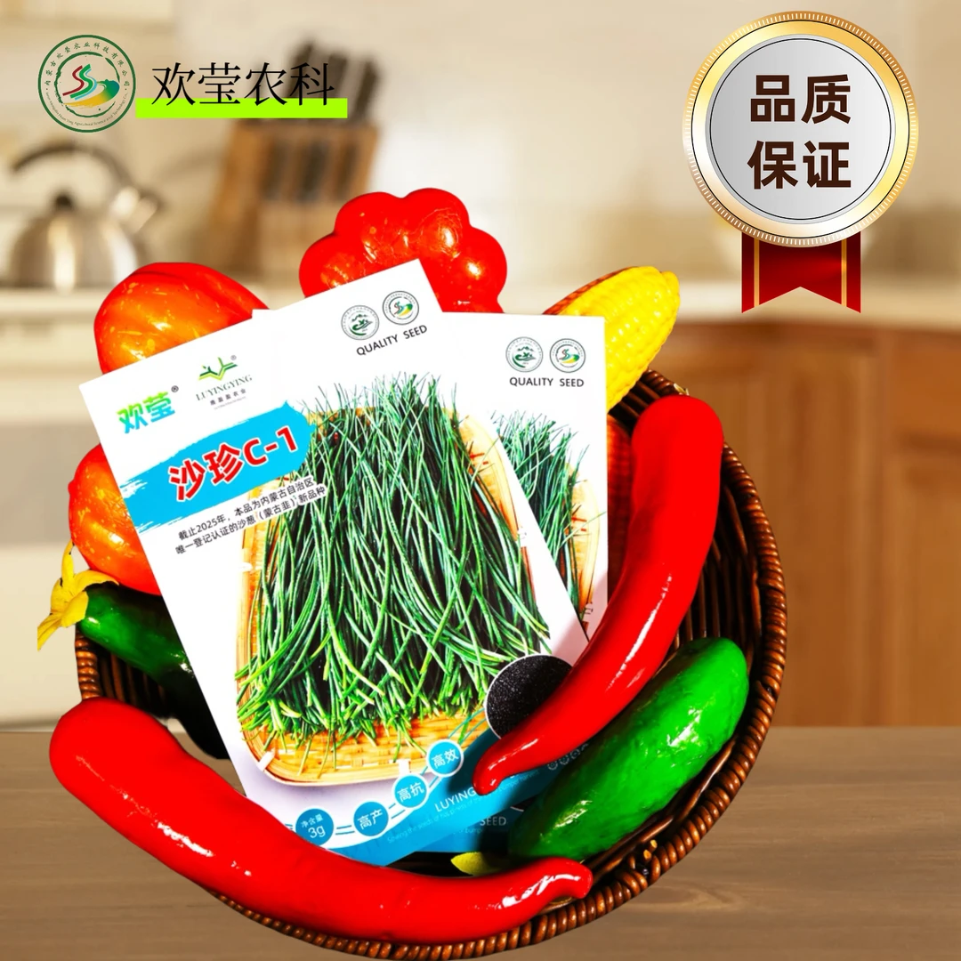 【吉莫专属】内蒙古特色沙葱籽沙珍C-1新品种