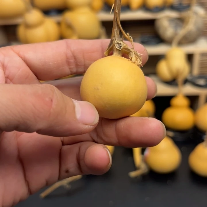 ?**星125666566655856999