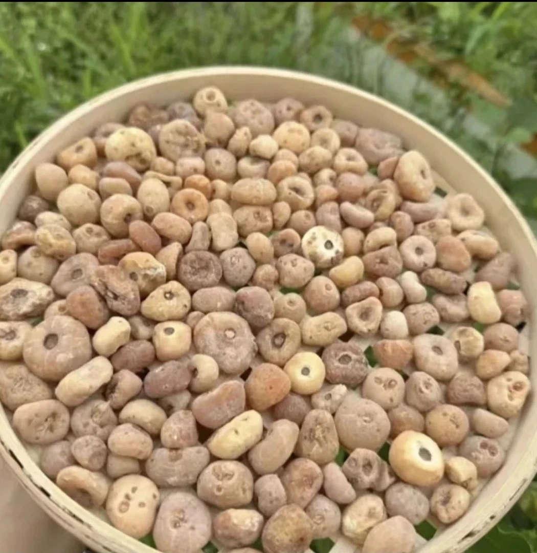 云南大山山货【玉皇丹】