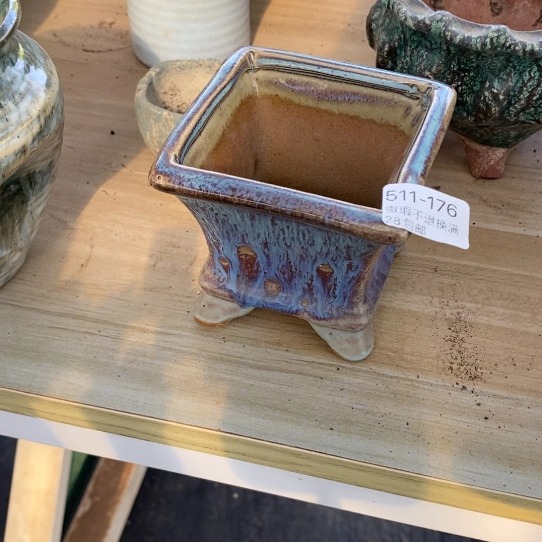 九**二176号多肉盆一个呀