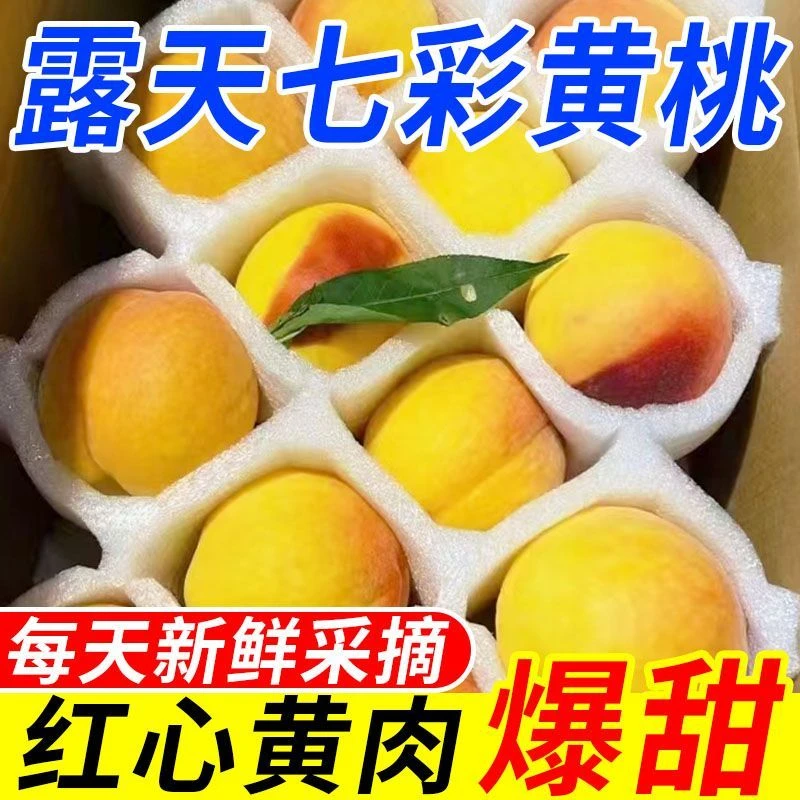 【顺丰冷链】湖南怀化高山露天锦绣黄桃现摘脆甜多汁当季新鲜水果