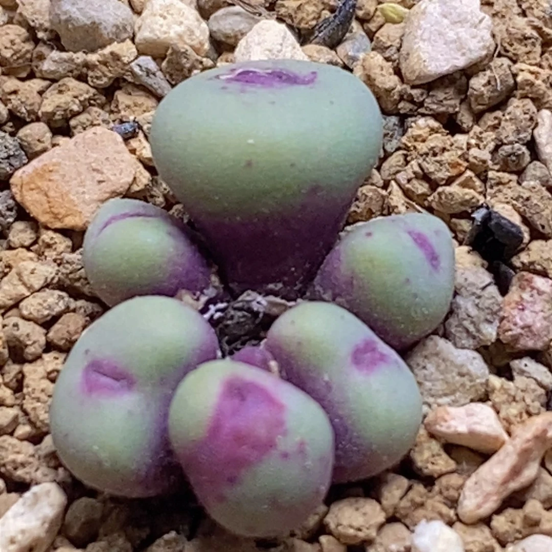 好看好看好看好看