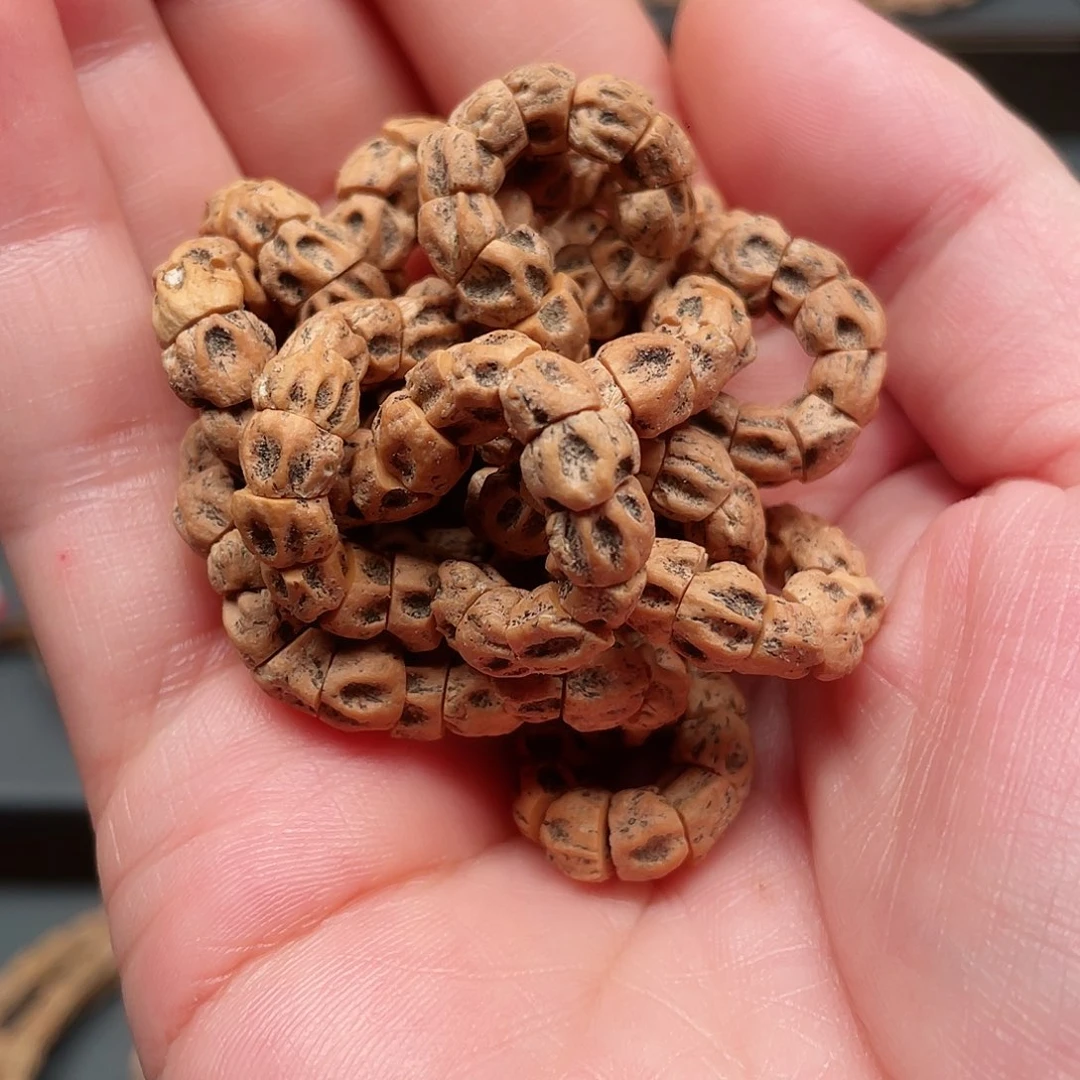 吊坠柏香籽/百香籽铁籽油皮尸坨林鬼肠