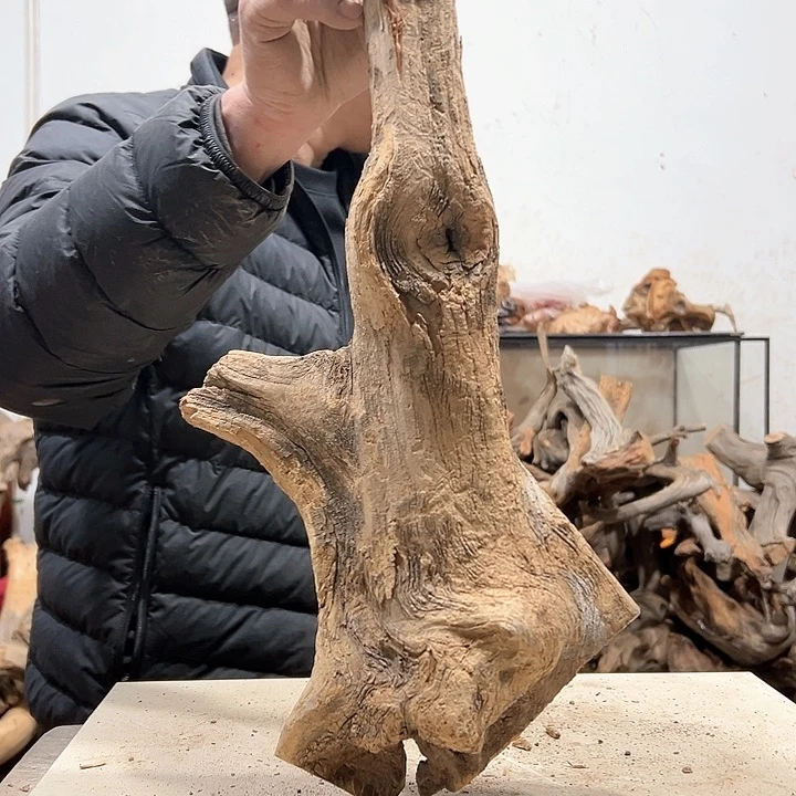 柏木2**7我们的生活也是如此