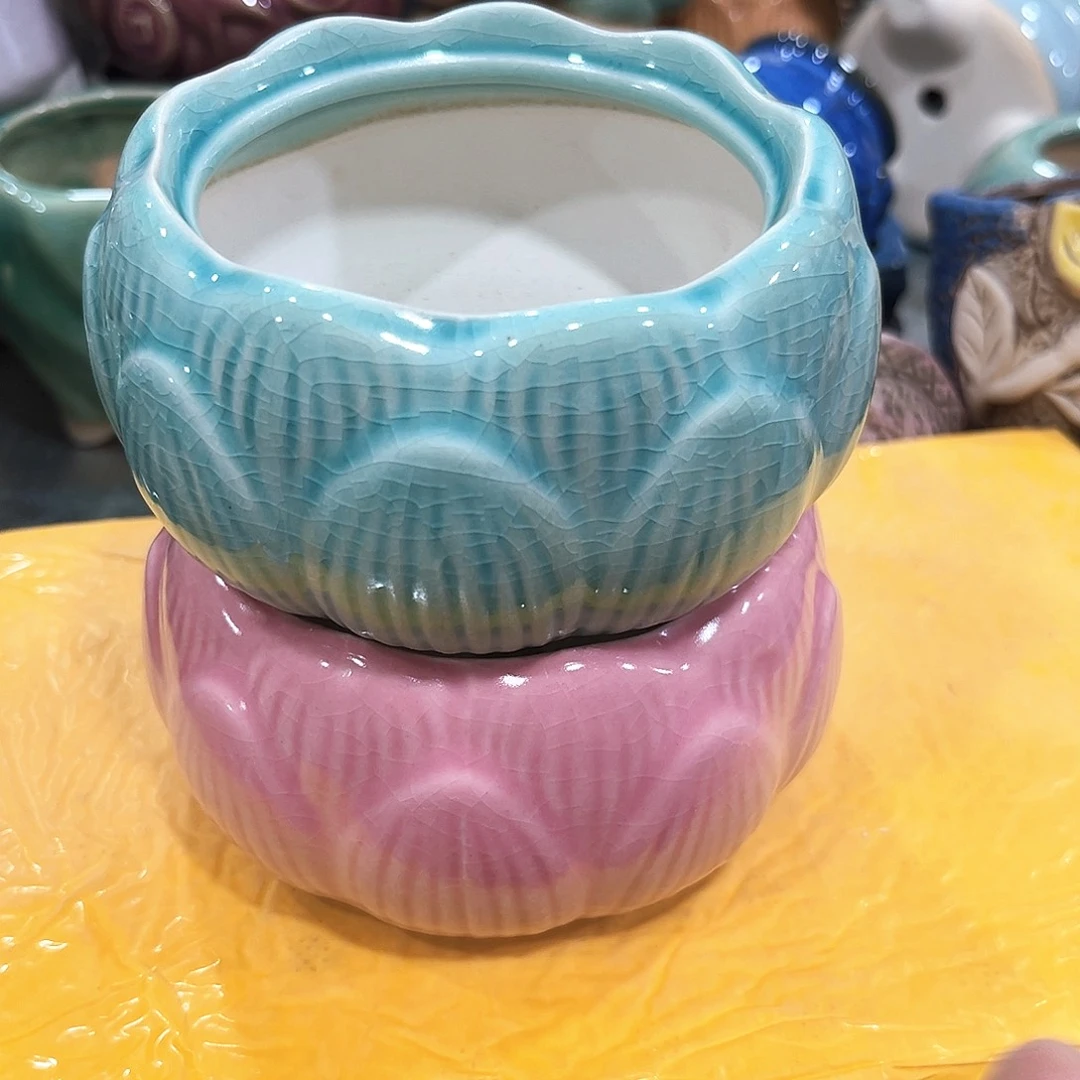 花盆花盆花盆花盆花盆花盆花盆花盆