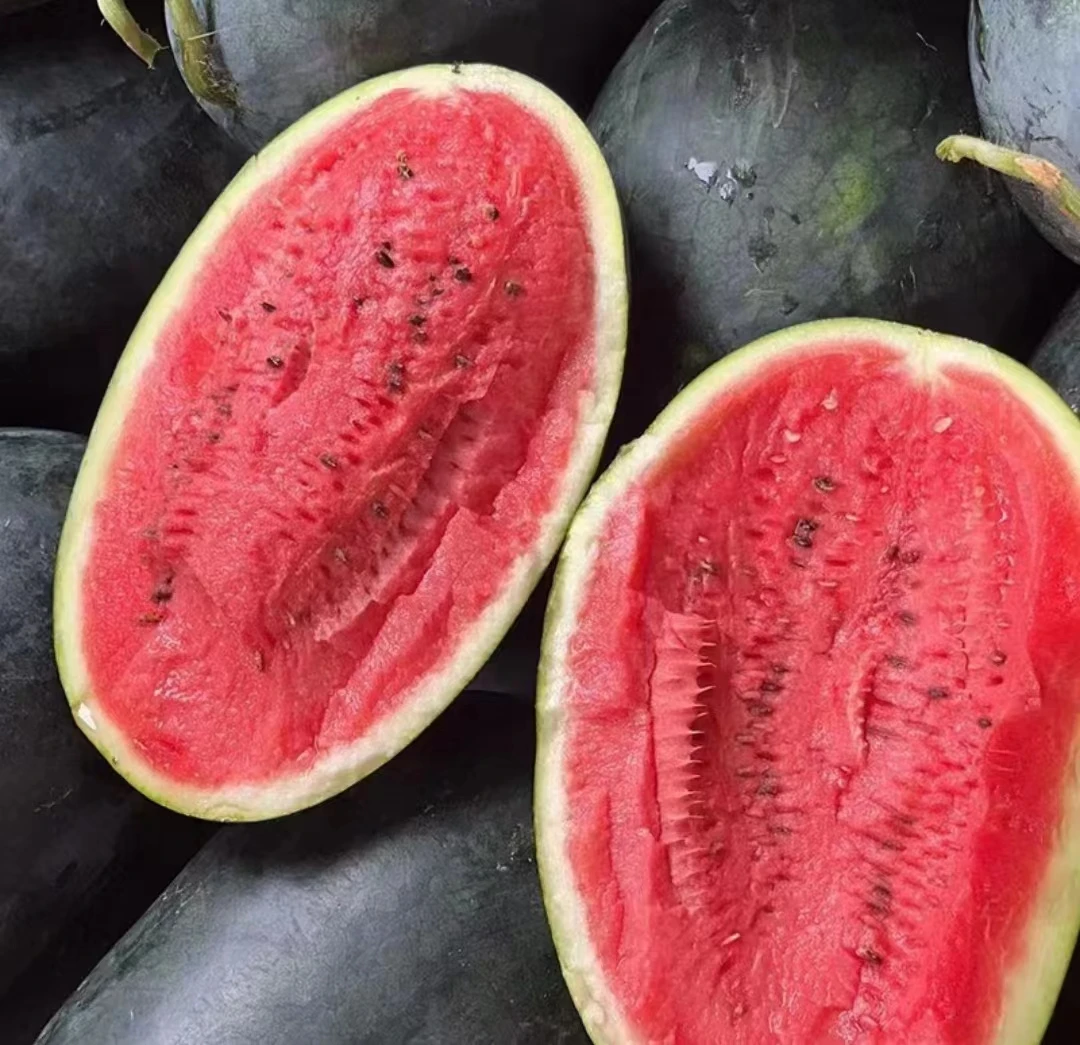 头茬越南黑美人西瓜多汁甜瓜新鲜现摘超甜薄皮红西瓜应季新鲜水果